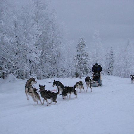 Motel Willis West Ruka Kültér fotó