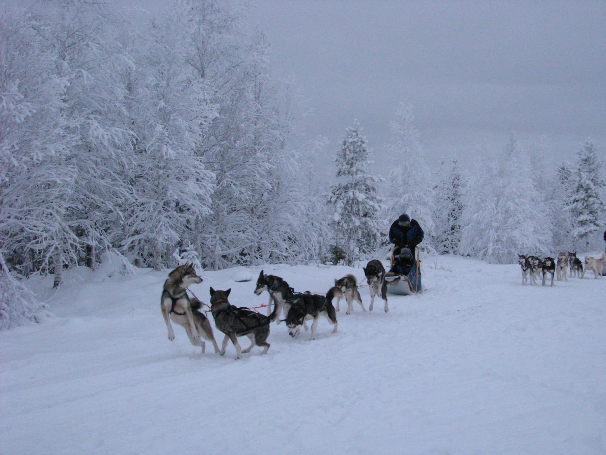 Motel Willis West Ruka Kültér fotó