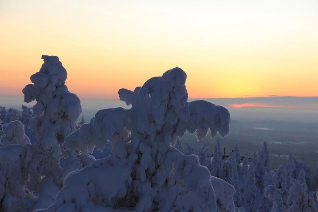 Motel Willis West Ruka Kültér fotó